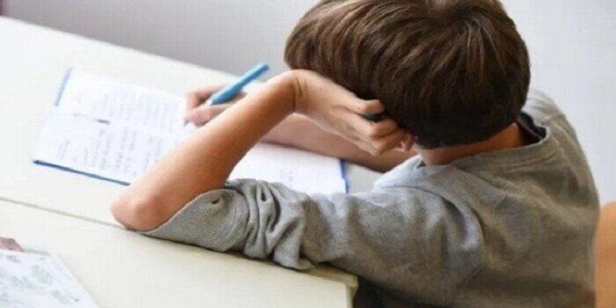 بالخطوات.. كيفية الحصول على التقييمات الأسبوعية وتحميلها بصيغة الـ «pdf» - تواصل نيوز