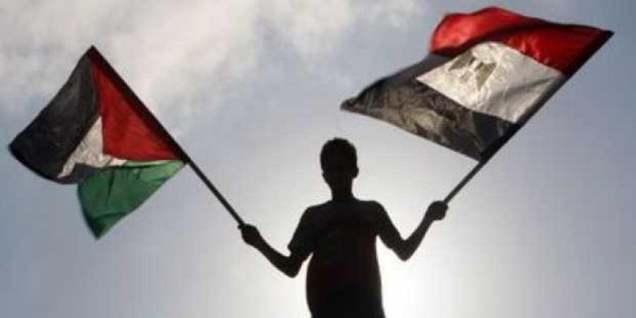 مصر تدين اقتحام المستوطنين الإسرائيليين للمسجد الأقصى المبارك - تواصل نيوز