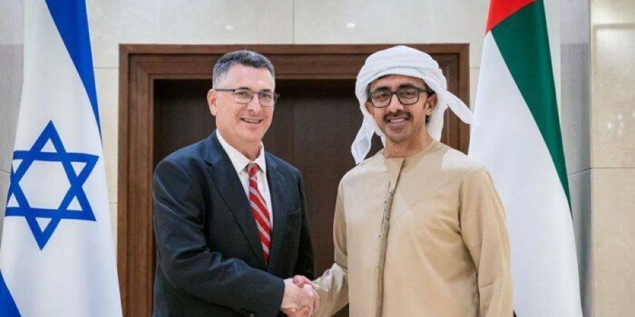 وزير الخارجية الإماراتي يطمئن على سلامة ركاب طائرة «فلاي دبي» - تواصل نيوز
