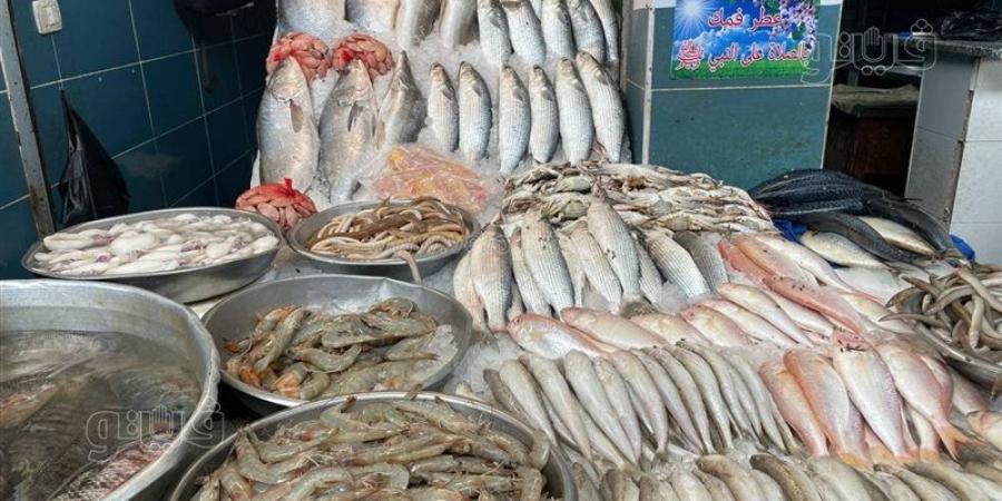 أسعار الأسماك اليوم، ارتفاع الجمبري 100 جنيه وانخفاض كبير في الكابوريا والبوري وقشر البياض - تواصل نيوز