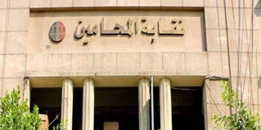إحالة محاميين للتحقيق في النقابة بعد تنظيم احتفالية وهمية لخريجي حقوق الإسكندرية - تواصل نيوز