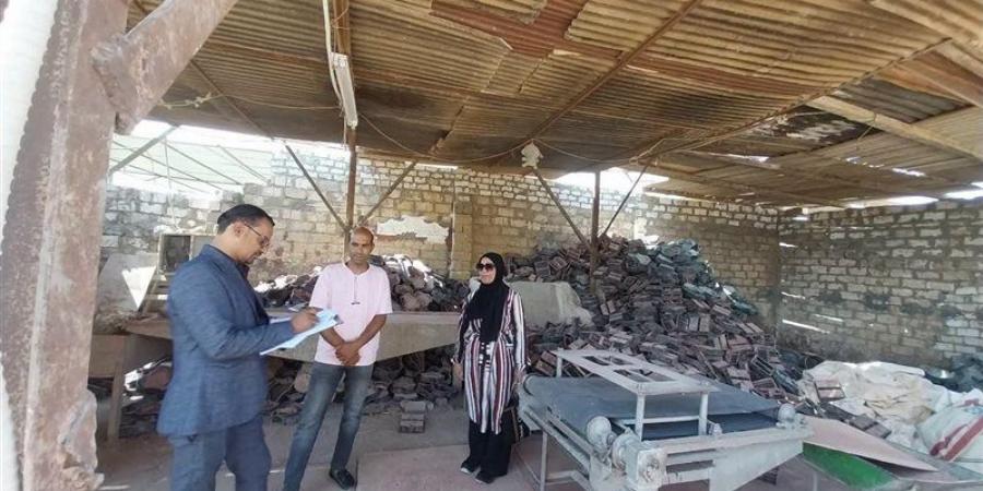 "العمل" تنفذ حملات تفتيشية على منشآت المنطقة الصناعية بالوادي الجديد - تواصل نيوز