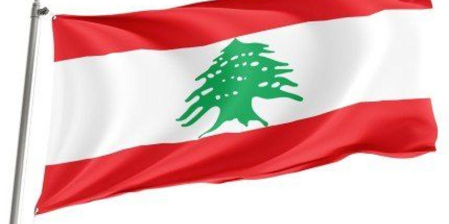 فلوريدا تستضيف الجولة الثامنة من المفاوضات اللبنانية الإسرائيلية يوم 20 أكتوبر - تواصل نيوز