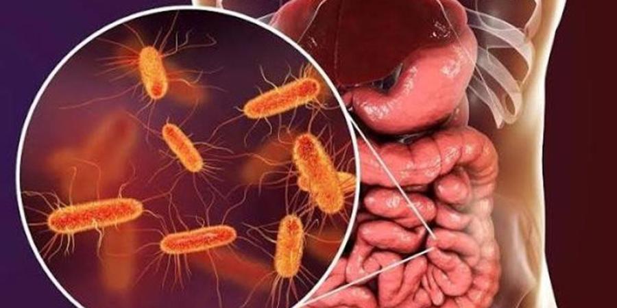 أسرار بكتيريا الأمعاء، دراسة تدق ناقوس الخطر عن علاقة معدل التبرز بصحة القلب والكلى - تواصل نيوز