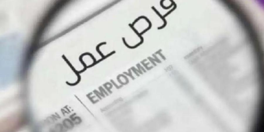 وظائف فنادق الأقصر برواتب تصل لـ19 ألف جنيه.. التخصصات وطريقة التقديم - تواصل نيوز