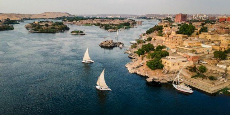 الرئيس السيسي: مصر تدعم التنمية في حوض النيل.. وترفض استخدام المياه لتحقيق مكاسب سياسية - تواصل نيوز