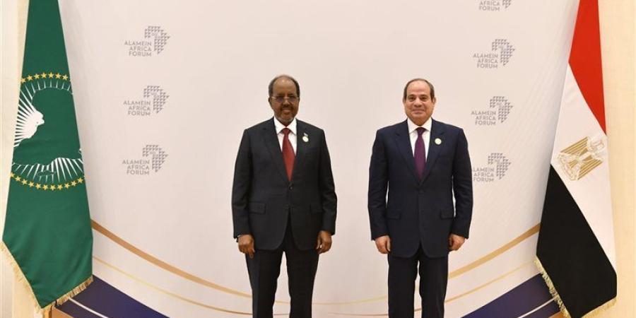 السيسي: القطاع الخاص قاطرة التنمية وخلق فرص عمل - تواصل نيوز