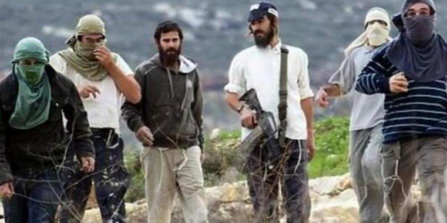 إصابة 5 فلسطينيين إثر اعتداء مستوطنين عليهم بالضفة الغربية - تواصل نيوز