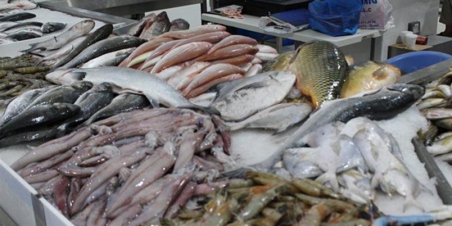 أسعار الأسماك اليوم، انخفاض 4 أصناف منها البلطي والبوري والجمبري يسجل 1200 جنيه - تواصل نيوز