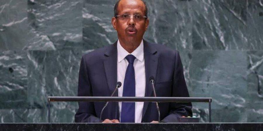 منتدى العلمين الأفريقي يدعو إلى تحويل الطموحات إلى مشروعات وتنمية حقيقية - تواصل نيوز