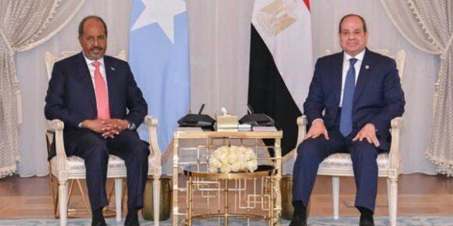 الرئيس السيسي يشدد على استمرار دعم مصر للصومال وكافة مؤسساته الوطنية - تواصل نيوز