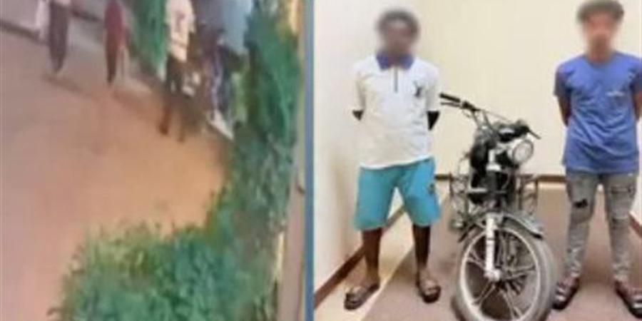 من سرقة دراجة بأسوان إلى فوضى السير عكس الاتجاه بالشرقية، الأمن يكشف التفاصيل - تواصل نيوز