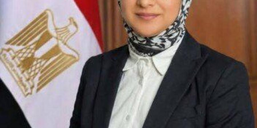 محافظ الوادي الجديد: ننتقل لمرحلة جديدة تستهدف بناء اقتصاد محلي متكامل - تواصل نيوز
