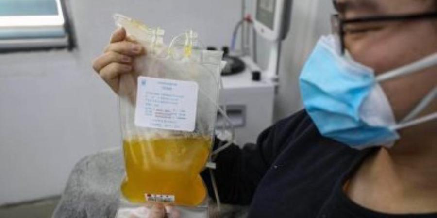 الحبس وغرامة مليون جنيه عقوبة تجميع بلازما الدم بدون ترخيص - تواصل نيوز