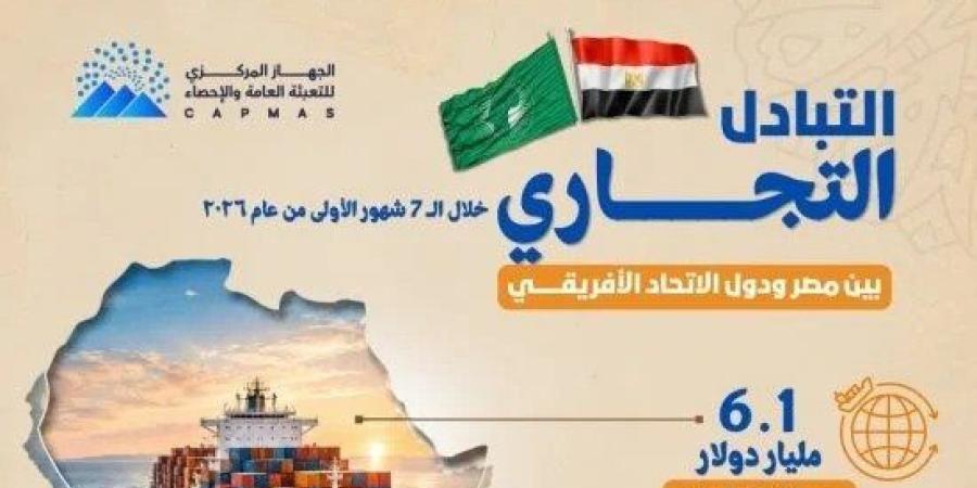 6.1 مليار دولار حجم التبادل التجاري بين مصر ودول الاتحاد الإفريقي خلال 7 أشهر - تواصل نيوز