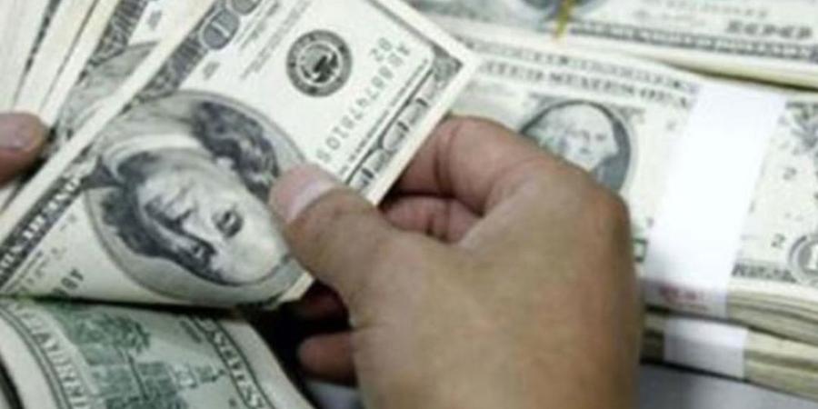 سعر الدولار مقابل الجنيه اليوم الأحد.. استقرار في البنوك المصرية - تواصل نيوز