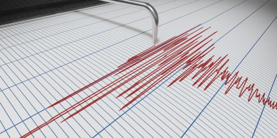 زلزال بقوة 4.9 درجات يضرب جزر ساندويتش الجنوبية بالمحيط الأطلسي - تواصل نيوز