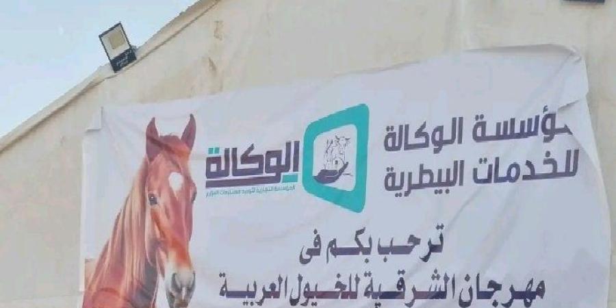 الشرقية تستعد لانطلاق مهرجان الخيول العربية الأصيلة بالعاشر من رمضان - تواصل نيوز