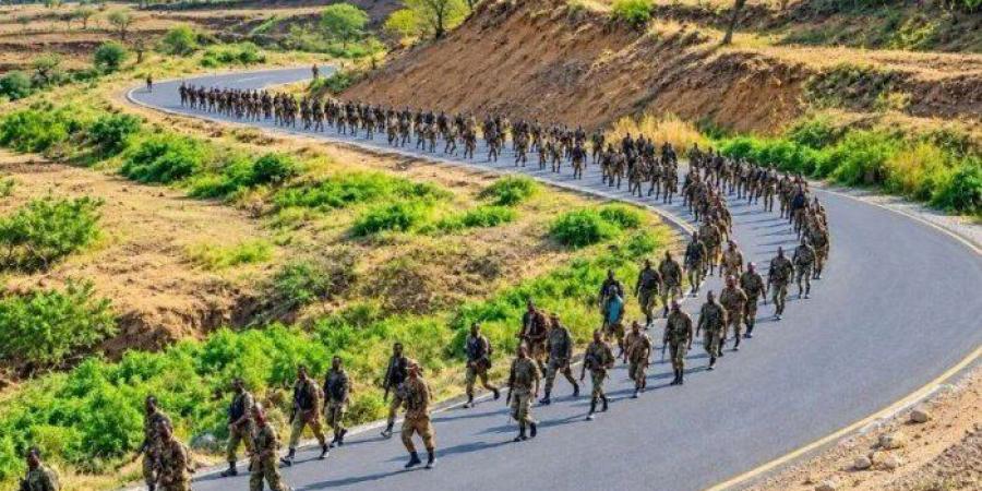 مقاتلو تيغراي في السودان.. هل تتحول الحرب إلى صراع إقليمي؟ - تواصل نيوز