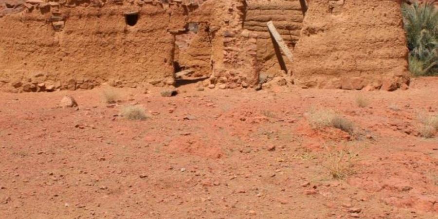 سلمى جيوبارك.. تنوع جيولوجي وشواهد تاريخية في حائل - تواصل نيوز