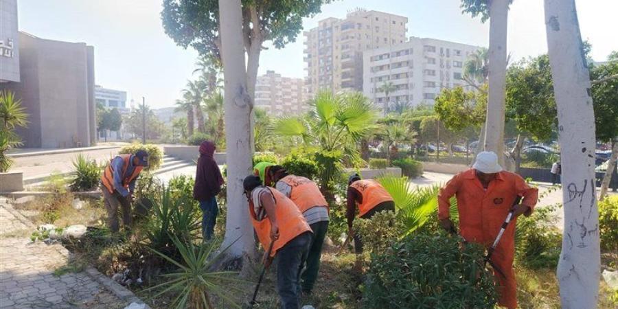 الإسماعيلية تتزين، حملة تجميل كبرى استعدادا لمهرجان الفنون الشعبية الدولي - تواصل نيوز