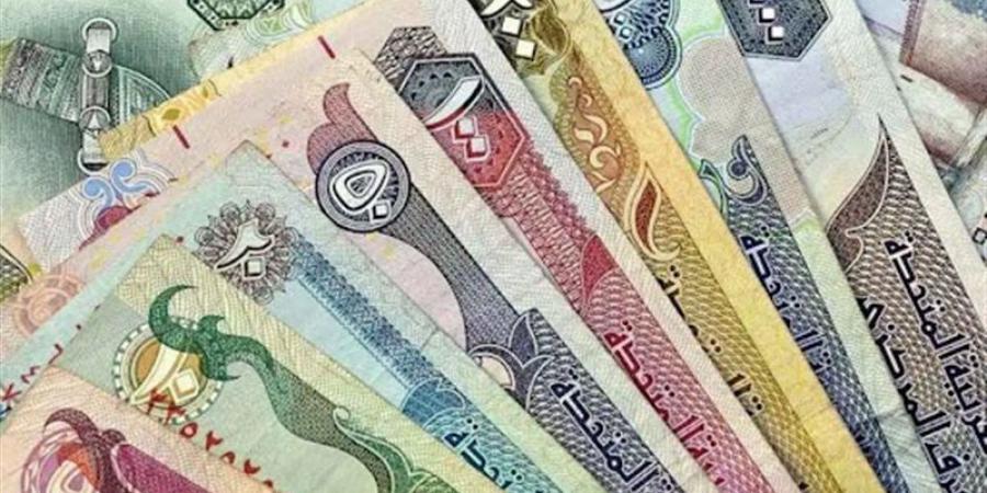 14.26 جنيه، سعر الدرهم الإماراتي في بنك مصر اليوم الثلاثاء - تواصل نيوز