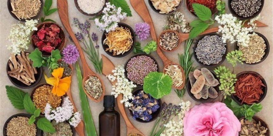 طرق طبيعية للتخلص من الروائح غير المرغوبة في البيت مع تغير الطقس - تواصل نيوز