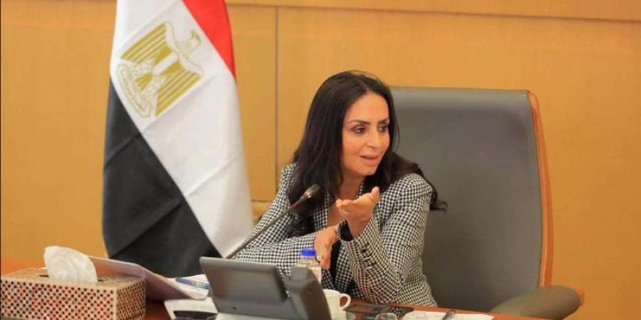 275 مليون جنيه مديونيات النفقة.. تحركات جديدة لصندوق تأمين الأسرة لتحصيل المستحقات - تواصل نيوز