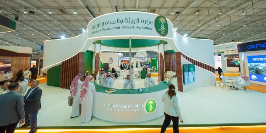 5 مبادرات لتوطين صناعة الدواجن تقفز بالاكتفاء الذاتي لـ 100% - تواصل نيوز