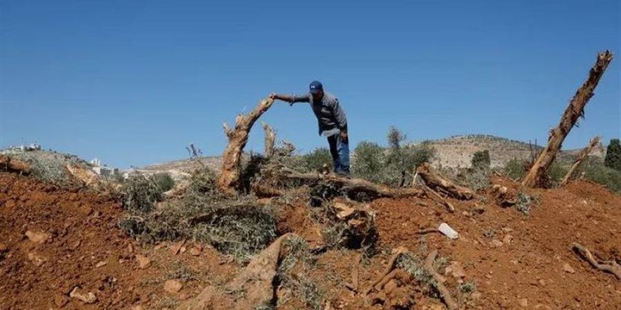 استشهاد فلسطيني في هجوم مستوطنين إسرائيليين بالضفة الغربية - تواصل نيوز