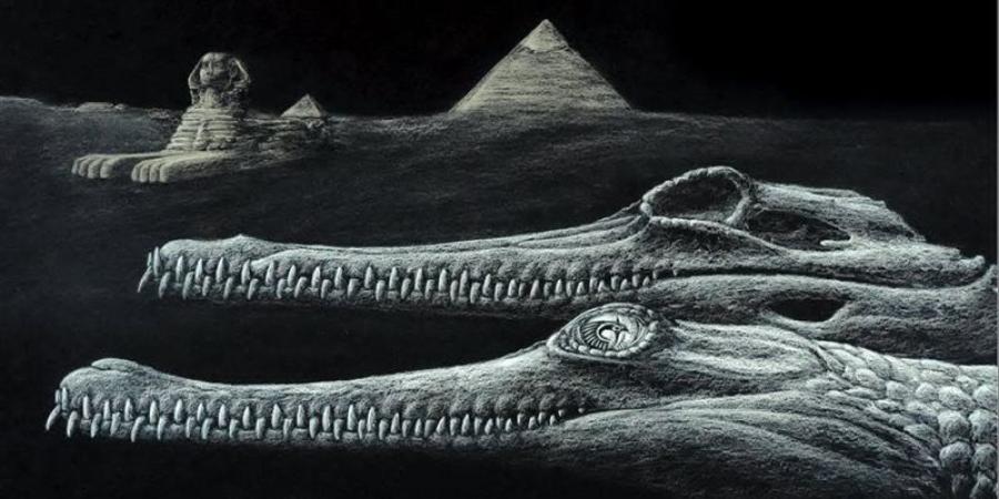 جامعة المنصورة تعيد كتابة التاريخ، حفرية لتمساح أبو الهول عمرها 45 مليون سنة تكشف جنسا جديدا من الجافياليات (صور) - تواصل نيوز