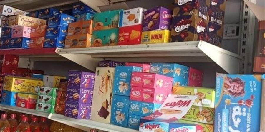 ضمن مبادرة ​مشروعك بالشرقية: تمويل 22 ألف مشروع بـ3.9 مليار جنيه - تواصل نيوز
