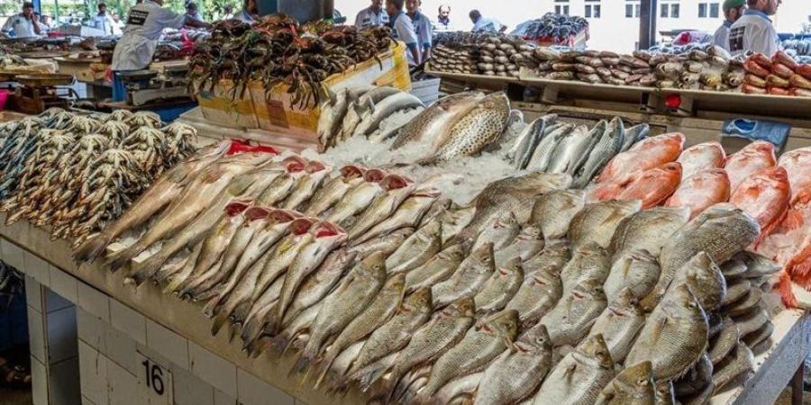 أسعار الأسماك اليوم، قفزة غير مسبوقة تضرب 8 أصناف منها البلطي والكابوريا والبوري - تواصل نيوز