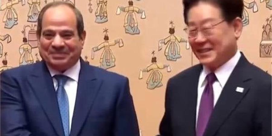 طارق فهمي: مصر تتجه لتعميق التعاون مع كوريا الجنوبية في التكنولوجيا والذكاء الاصطناعي - تواصل نيوز