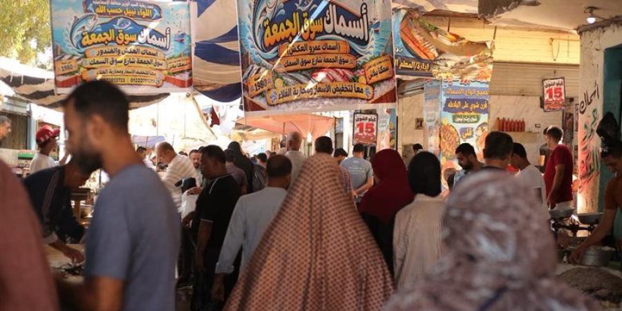 إقبال المواطنين بالإسماعيلية على مبادرة بيع أسماك بأسعار مخفضة (صور) - تواصل نيوز