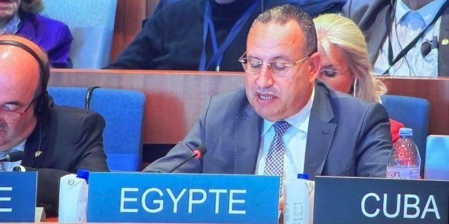 مصر تعلن ترشحها لعضوية المجلس التنفيذي لليونسكو للفترة 2029- 2033 - تواصل نيوز
