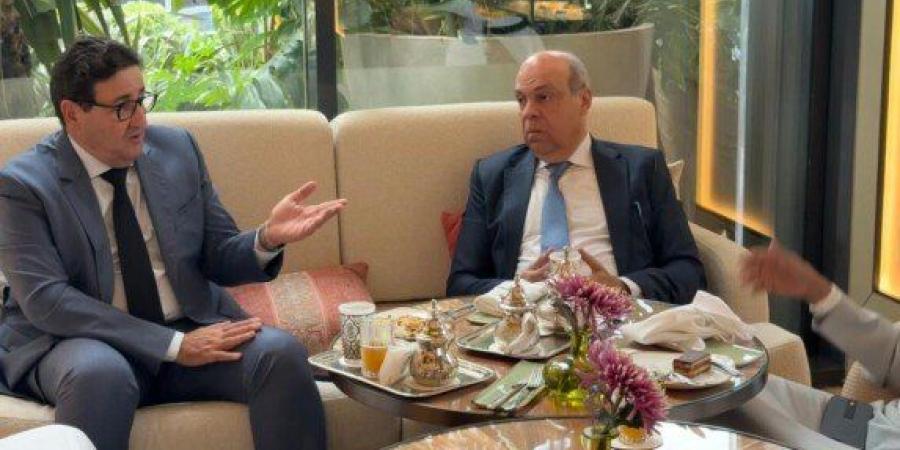 وزير الطيران يبحث مع المنظمة العربية للطيران المدني دعم التعاون المشترك - تواصل نيوز