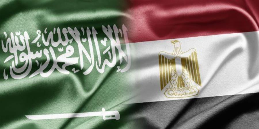 مصطفى بكري: أمن السعودية يرتبط ارتباطًا وثيقًا بالأمن القومي المصري والعربي - تواصل نيوز