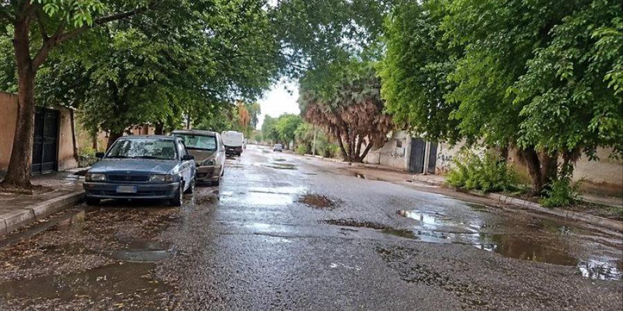 في عز الحر، هطول الأمطار على عدة مناطق في قنا والمحافظة ترفع درجة الاستعداد (فيديو) - تواصل نيوز