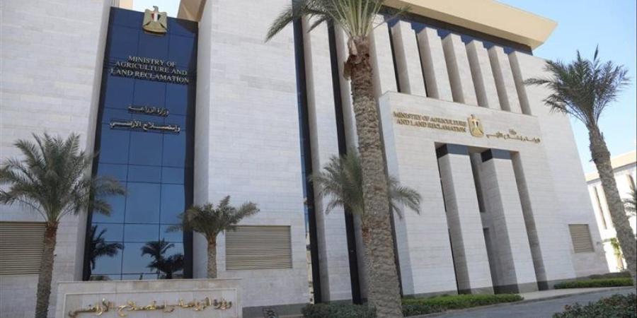 الزراعة تبحث تطوير التدريب الإداري بالذكاء الاصطناعي والتحول الرقمي - تواصل نيوز