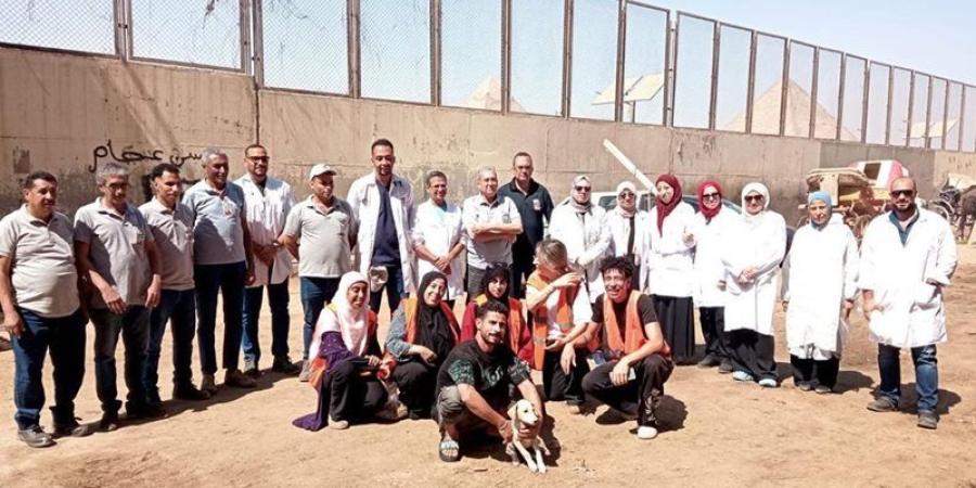 "الزراعة" تنهي تحصين خيول الأهرامات استعدادًا لبطولة الفروسية الدولية - تواصل نيوز