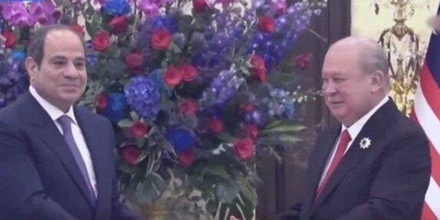 ملك ماليزيا يشيد بالدور المحوري للرئيس السيسي في إرساء السلام والاستقرار بالشرق الأوسط - تواصل نيوز