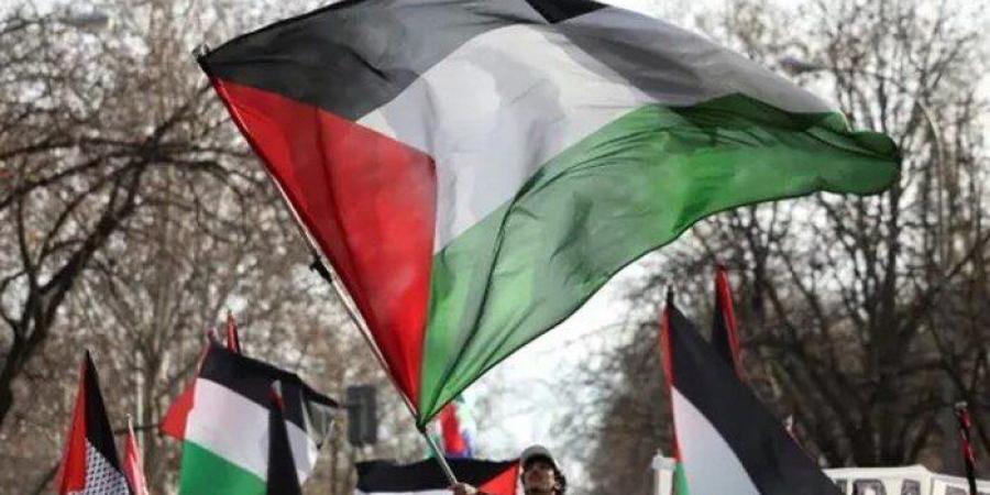 الرئيس السيسي: لا تسوية عادلة للقضية الفلسطينية دون دولة مستقلة على حدود 1967 - تواصل نيوز