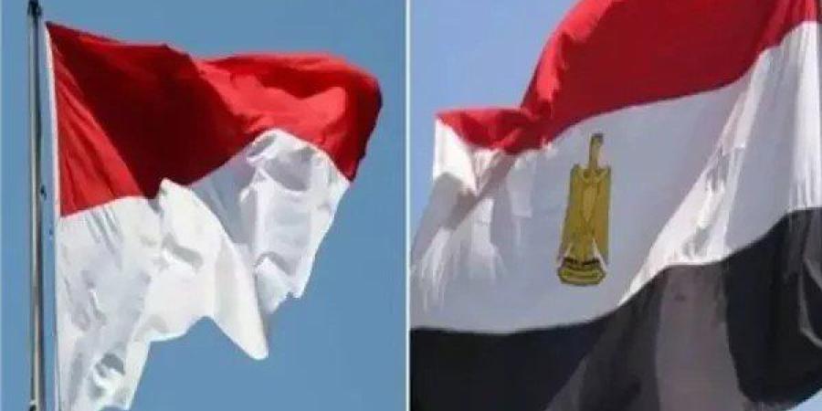 الإحصاء: التبادل التجاري بين مصر وإندونيسيا يسجل 1.6 مليار دولار خلال 8 أشهر - تواصل نيوز