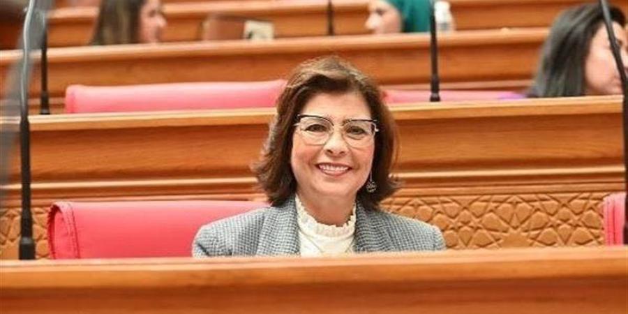 بينها إنشاء مرصد الأثر التشريعي، رئيس تضامن النواب تكشف خطة عمل اللجنة - تواصل نيوز