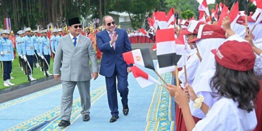 الرئيس السيسي في ختام زيارته لإندونيسيا: نعتز بالعلاقات التاريخية الوثيقة بين القاهرة وجاكرتا - تواصل نيوز
