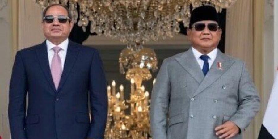 الرئيس السيسي ونظيره الإندونيسي يشهدان التوقيع على عدد من مذكرات التفاهم | بث مباشر - تواصل نيوز