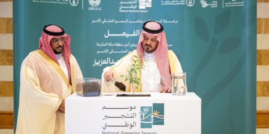 نائب أمير مكة يدشن موسم التشجير الوطني.. وزراعة 7,7 مليون شجرة بالمنطقة - تواصل نيوز