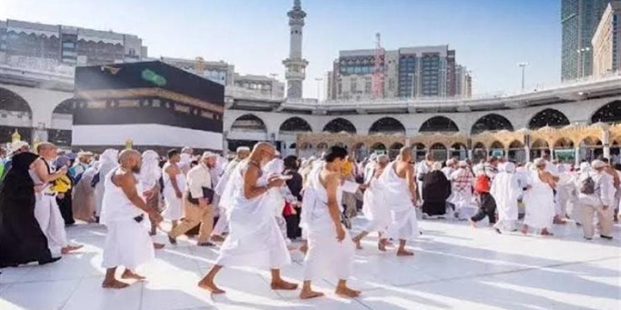 العليا للحج: رحلات العمرة في مصر منتظمة رغم الاستهدافات الأخيرة في الرياض - تواصل نيوز