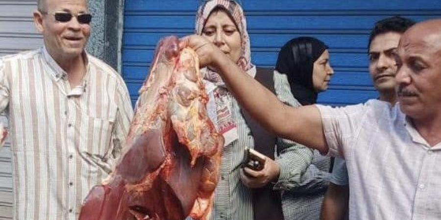 ضبط 500 كيلو لحوم مصابة بالصفراء وأختام مزورة في المنوفية - تواصل نيوز